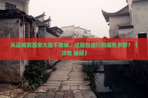 运城到西安大唐不夜城自由行