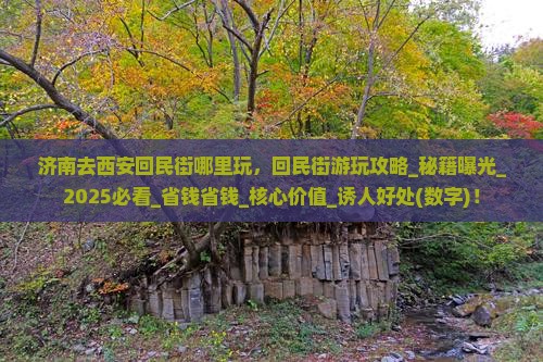 济南去西安回民街哪里玩