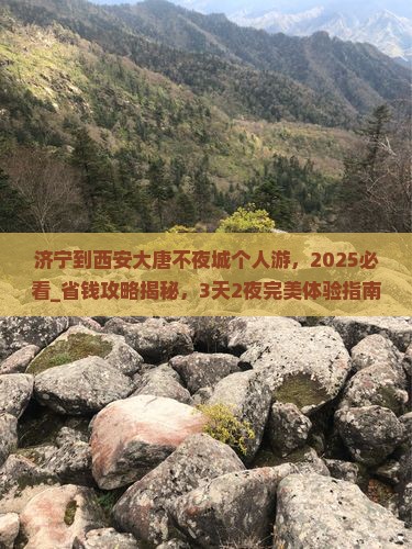 济宁到西安大唐不夜城个人游
