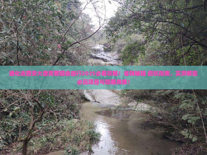通化去西安大唐芙蓉园自由行