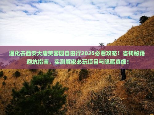 通化去西安大唐芙蓉园自由行