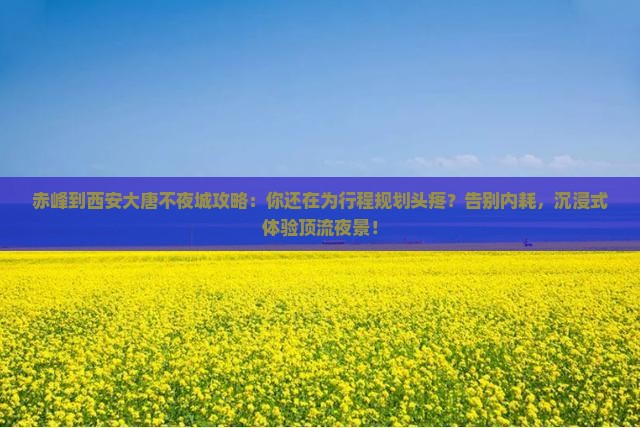 赤峰到西安大唐不夜城攻略