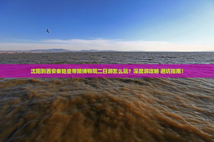 沈阳到西安秦始皇帝陵博物院二日游