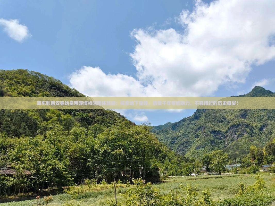 海东到西安秦始皇帝陵博物院团体旅游