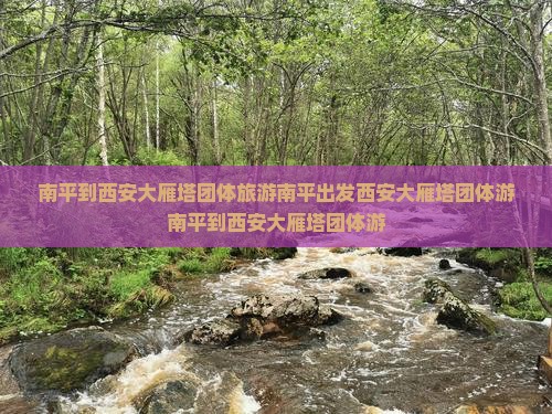 南平到西安大雁塔团体旅游