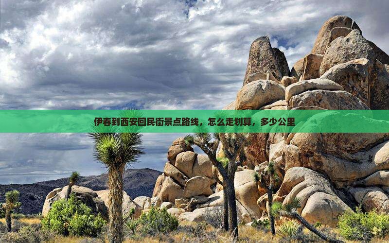 伊春到西安回民街景点