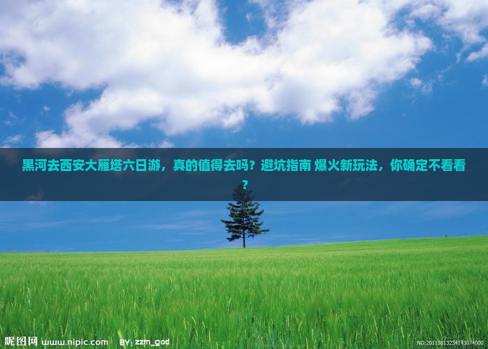 黑河去西安大雁塔六日游 黑河去西安大雁塔六日游