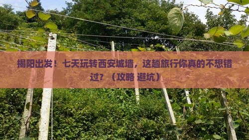 揭阳到西安城墙七日游