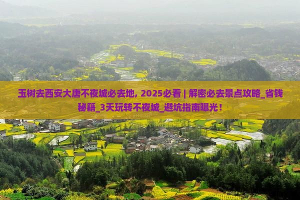 玉树去西安大唐不夜城必去地