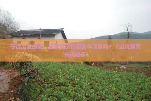 宁德到西安华清宫五日游