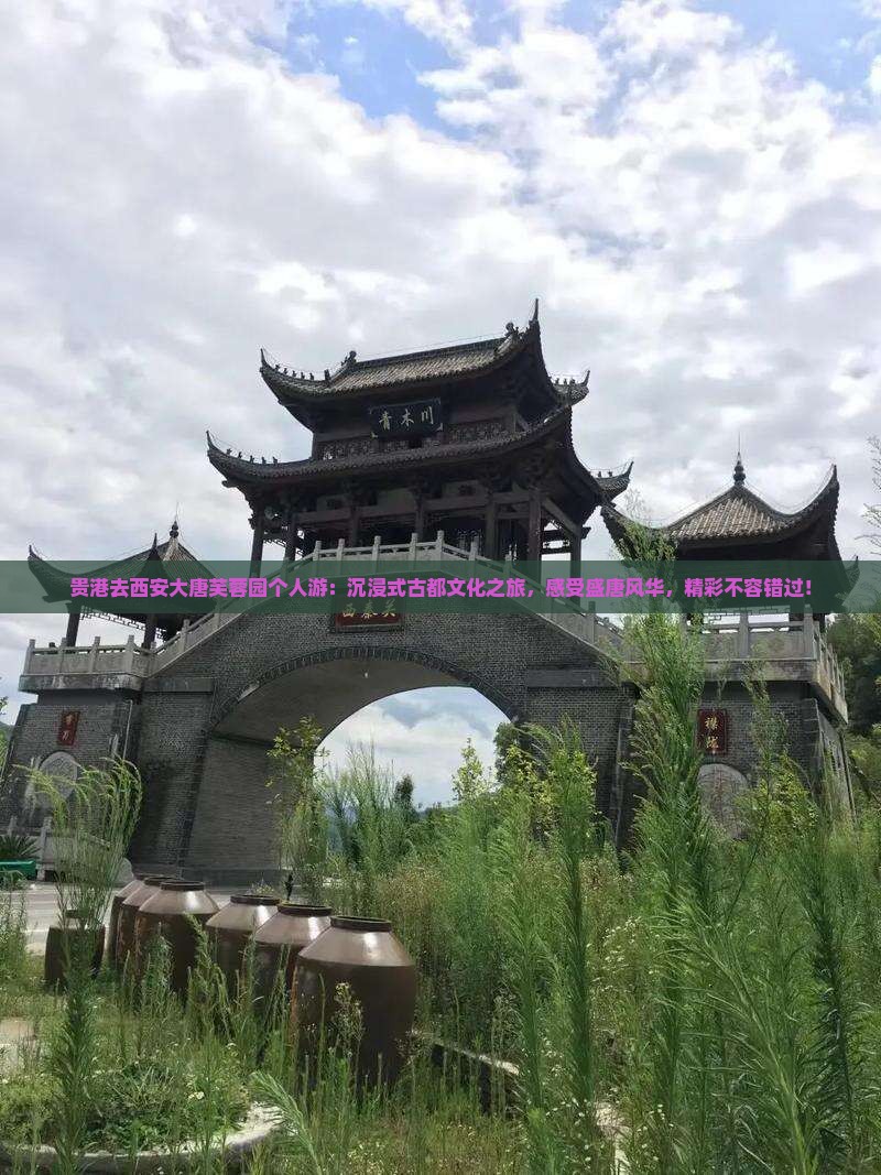 贵港去西安大唐芙蓉园个人游