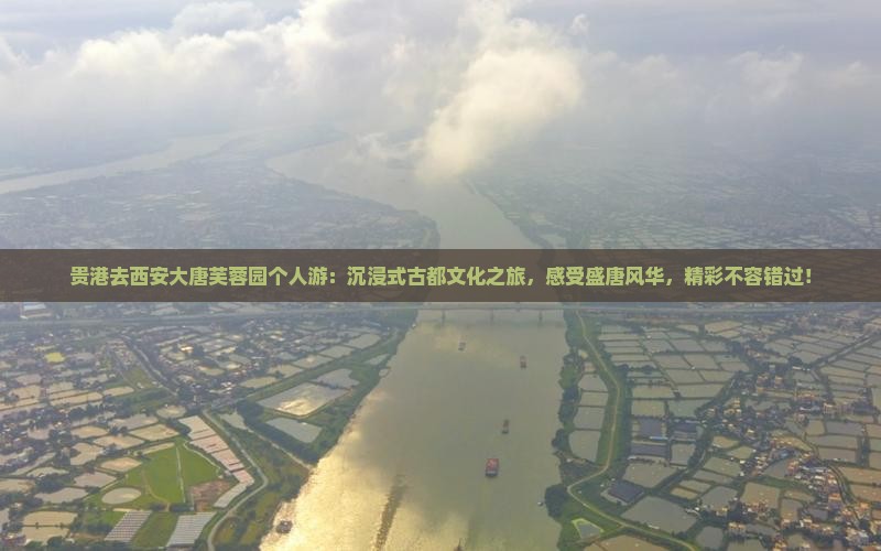 贵港去西安大唐芙蓉园个人游