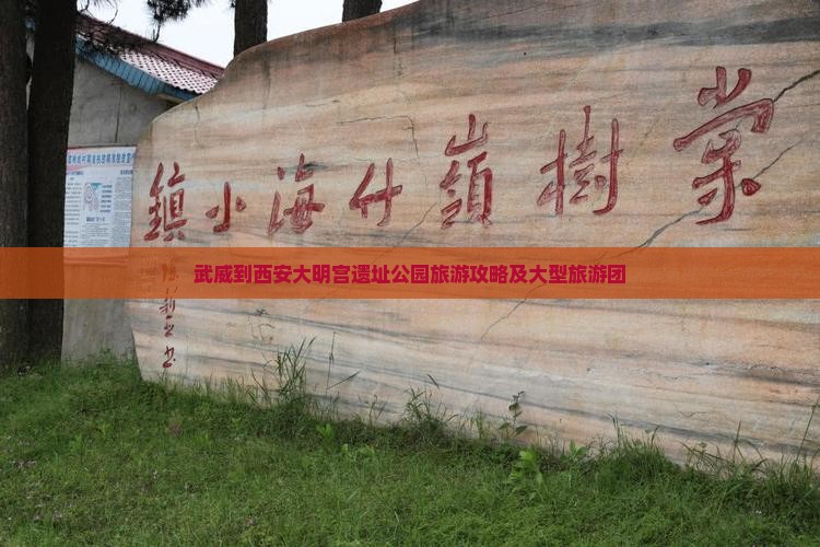 武威到西安大明宫国家遗址公园大型旅游团