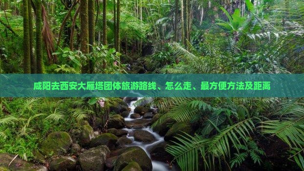 咸阳去西安大雁塔团体旅游