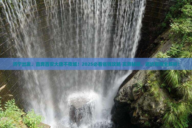 济宁到西安大唐不夜城自由团