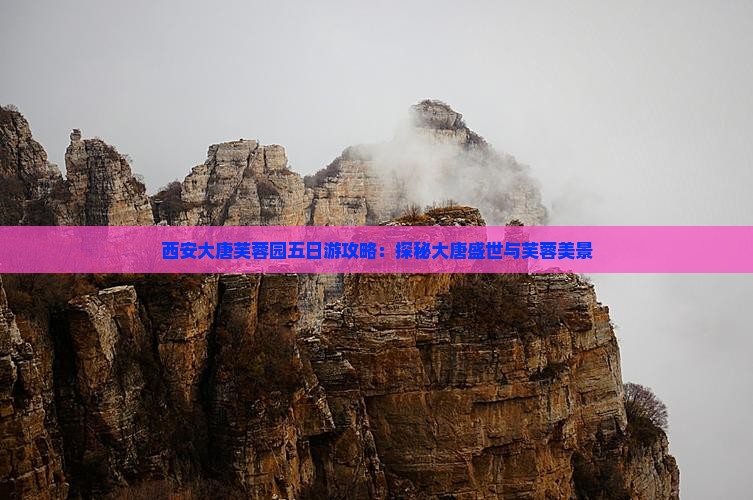 衡水去西安大唐芙蓉园五日游