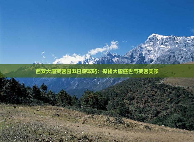 衡水去西安大唐芙蓉园五日游