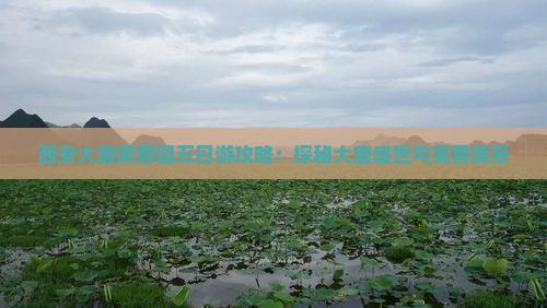 衡水去西安大唐芙蓉园五日游