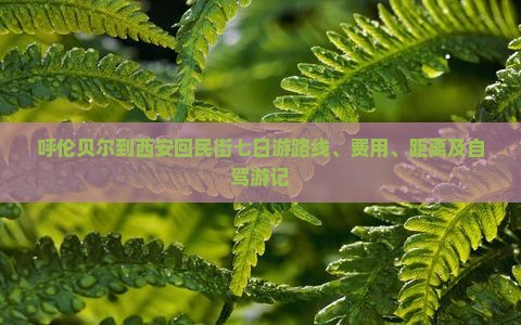 呼伦贝尔到西安回民街七日游