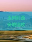 玉树到西安城墙攻略