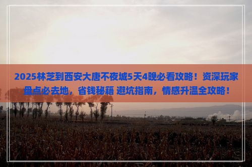 林芝到西安大唐不夜城必去地
