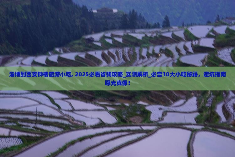 淄博到西安钟楼旅游小吃