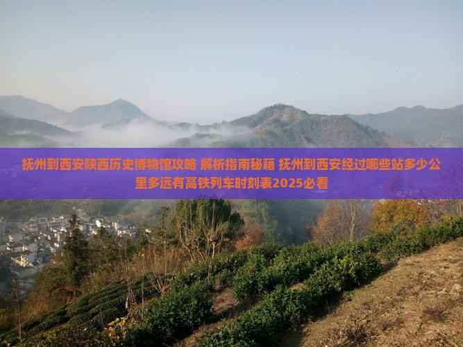抚州到西安陕西历史博物馆攻略