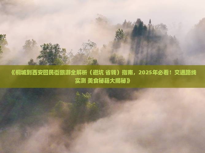 桐城去西安回民街攻略