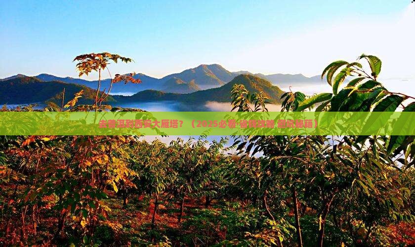 普洱去西安大雁塔旅行社