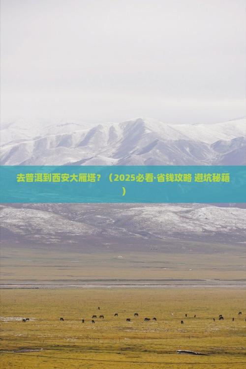 普洱去西安大雁塔旅行社