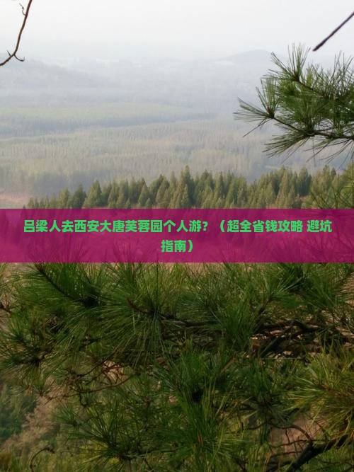 吕梁去西安大唐芙蓉园个人游