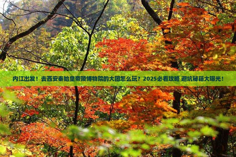 内江到西安秦始皇帝陵博物院大型旅游团