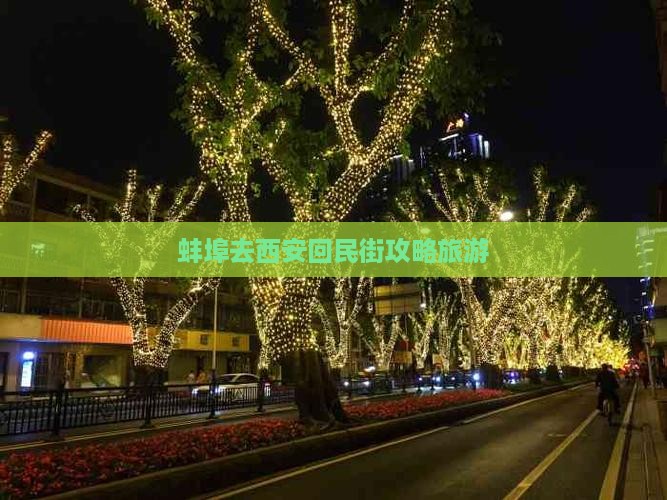 蚌埠去西安回民街个人游