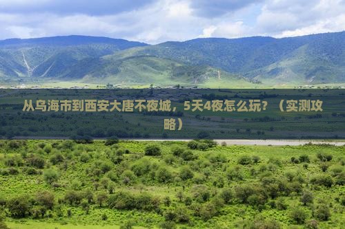乌海市到西安大唐不夜城个人游