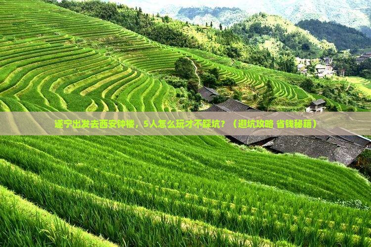 遂宁到西安钟楼团体旅游