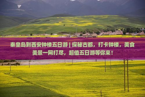 秦皇岛到西安钟楼五日游