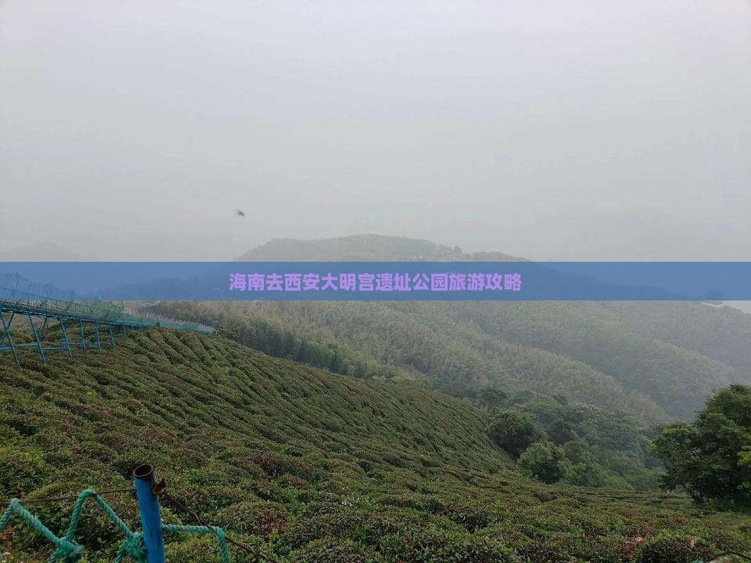 海南去西安大明宫国家遗址公园旅游