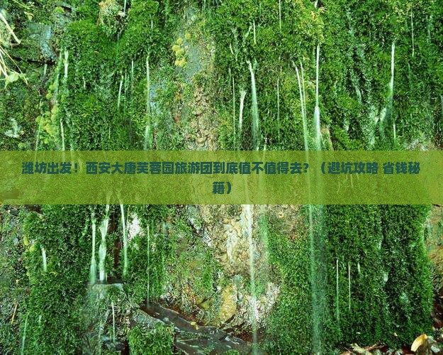 潍坊到西安大唐芙蓉园大型旅游团