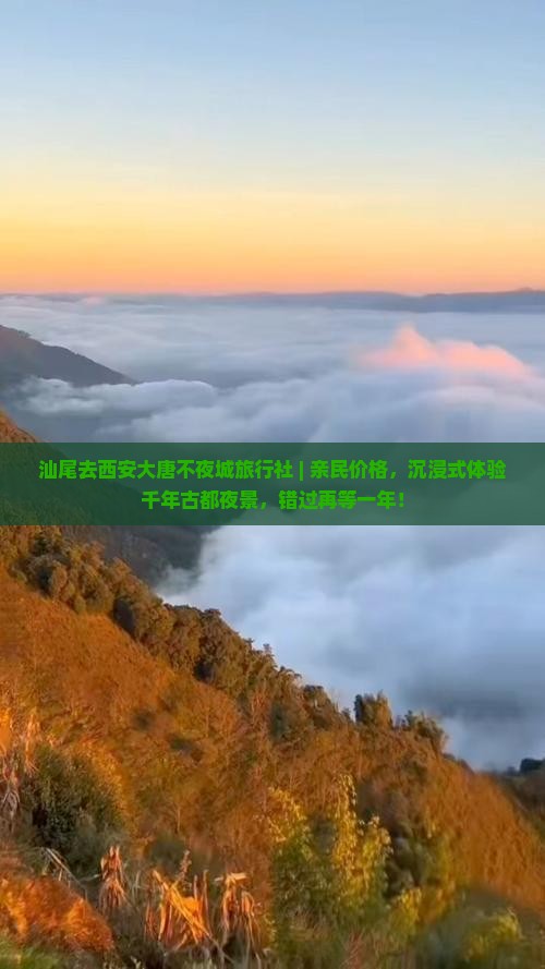 汕尾去西安大唐不夜城旅行社