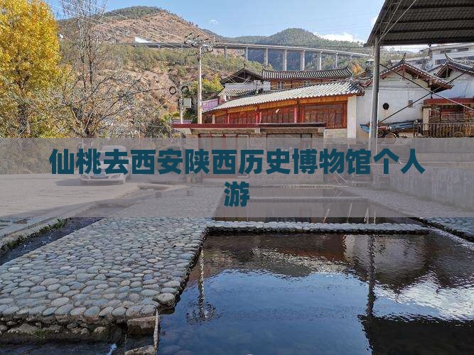 仙桃去西安陕西历史博物馆个人游