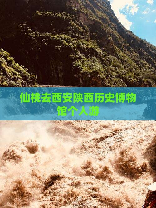仙桃去西安陕西历史博物馆个人游
