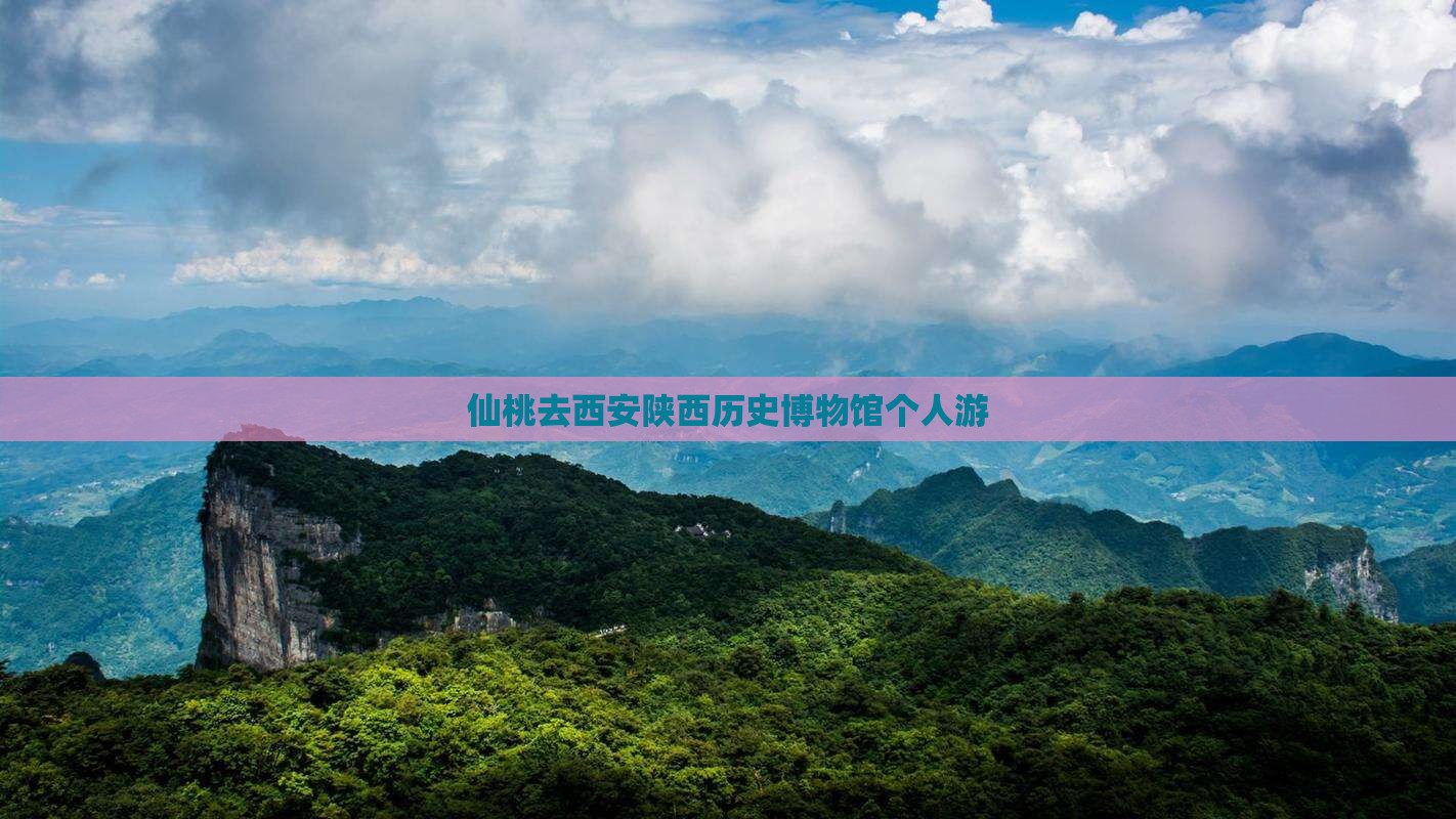 仙桃去西安陕西历史博物馆个人游