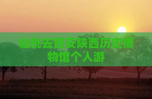 仙桃去西安陕西历史博物馆个人游