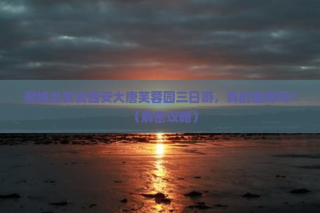 桐城去西安大唐芙蓉园三日游
