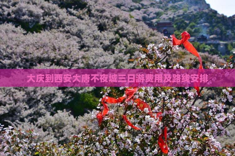 大庆到西安大唐不夜城三日游