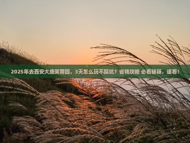 朝阳到西安大唐芙蓉园攻略