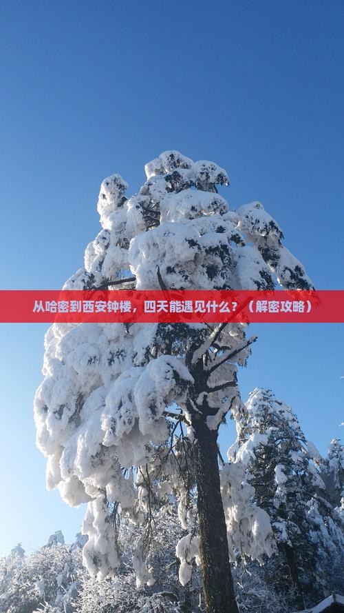 哈密到西安钟楼四日游