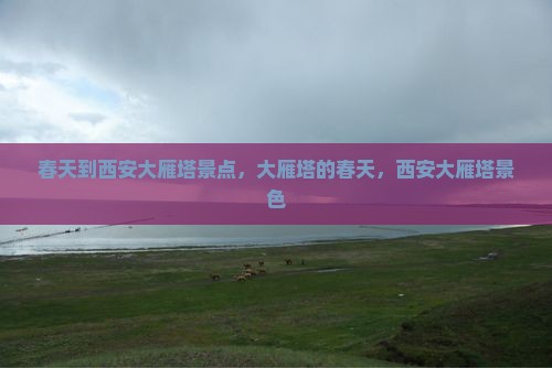 春天到西安大雁塔景点
