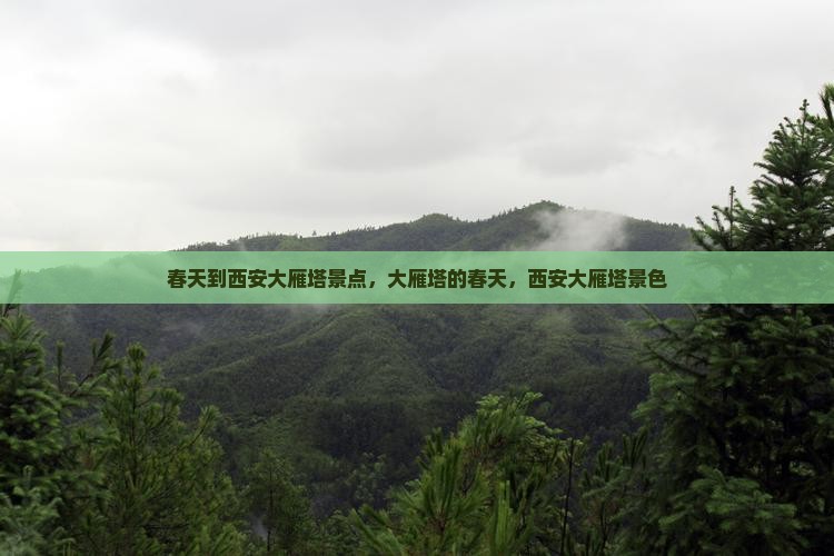 春天到西安大雁塔景点