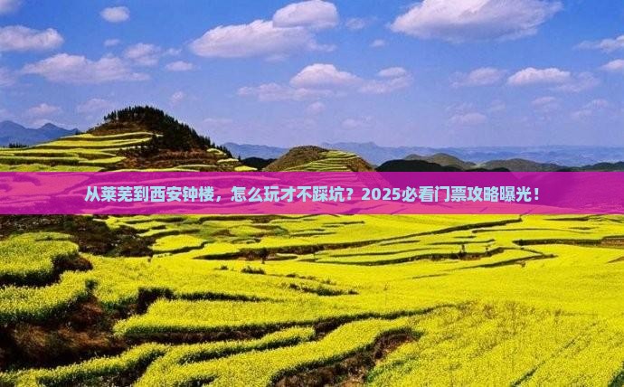 莱芜去西安钟楼门票